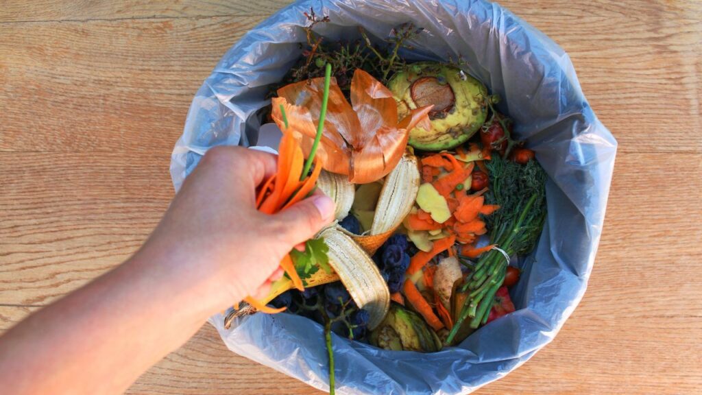 Stop Food Waste