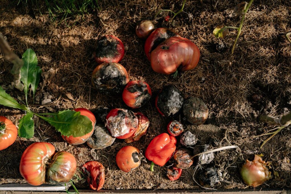 food composting